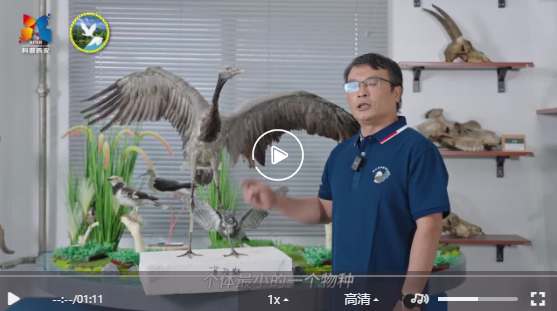鳥類科普小知識(shí)1